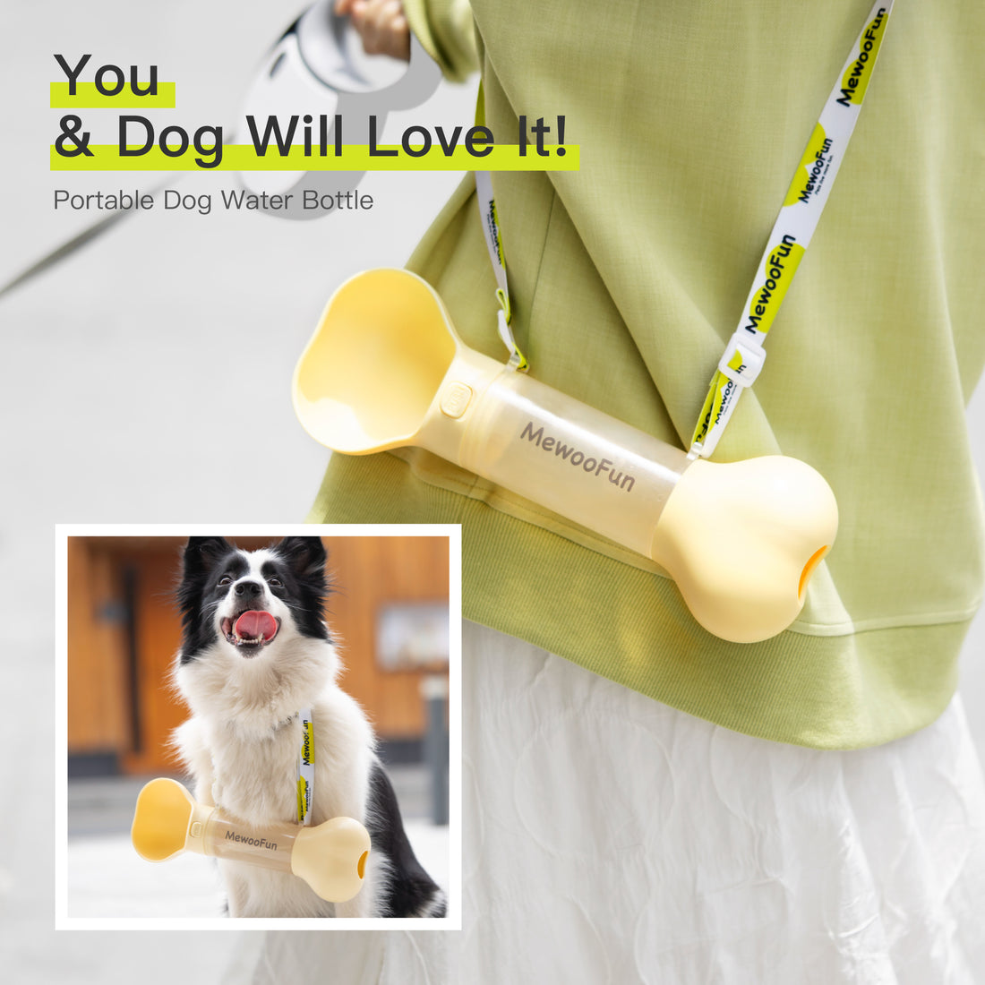 Water Bottle Feeder Bowl 2 in 1